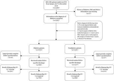 Predictive Value of Plasma Big Endothelin-1 in Adverse Events of Patients With Coronary Artery Restenosis and Diabetes Mellitus: Beyond Traditional and Angiographic Risk Factors